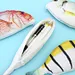 fish pencil case